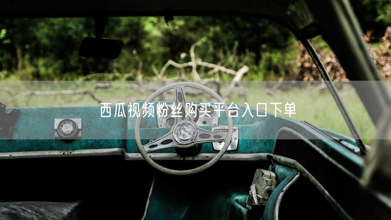 西瓜视频粉丝购买平台入口下单