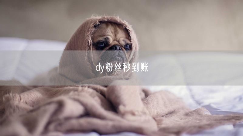 dy粉丝秒到账