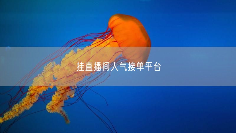 挂直播间人气接单平台