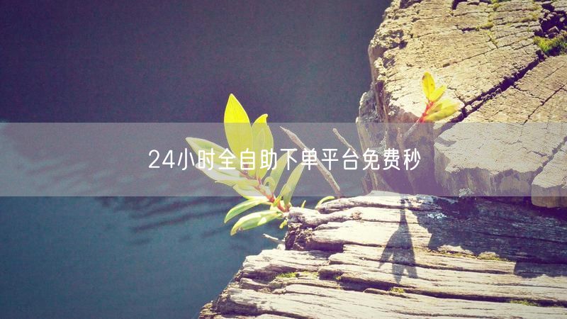 24小时全自助下单平台免费秒