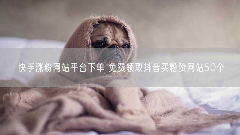 快手涨粉网站平台下单 免费领取抖音买粉赞网站50个