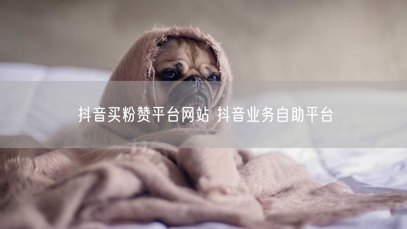 抖音买粉赞平台网站 抖音业务自助平台