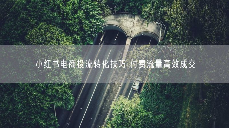 小红书电商投流转化技巧 付费流量高效成交