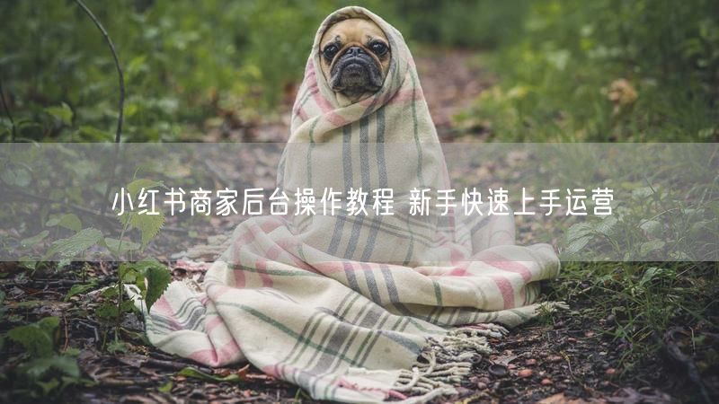小红书商家后台操作教程 新手快速上手运营