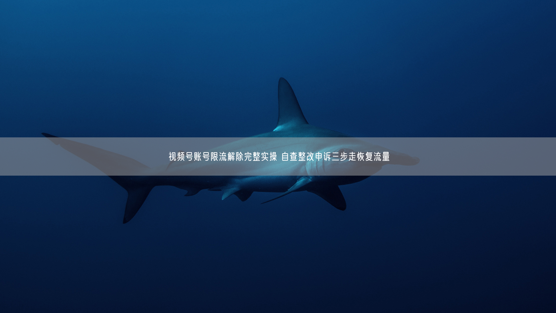 视频号账号限流解除完整实操 自查整改申诉三步走恢复流量