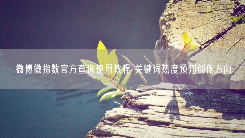 微博微指数官方查询使用教程 关键词热度预判创作方向