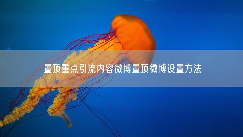 置顶重点引流内容微博置顶微博设置方法