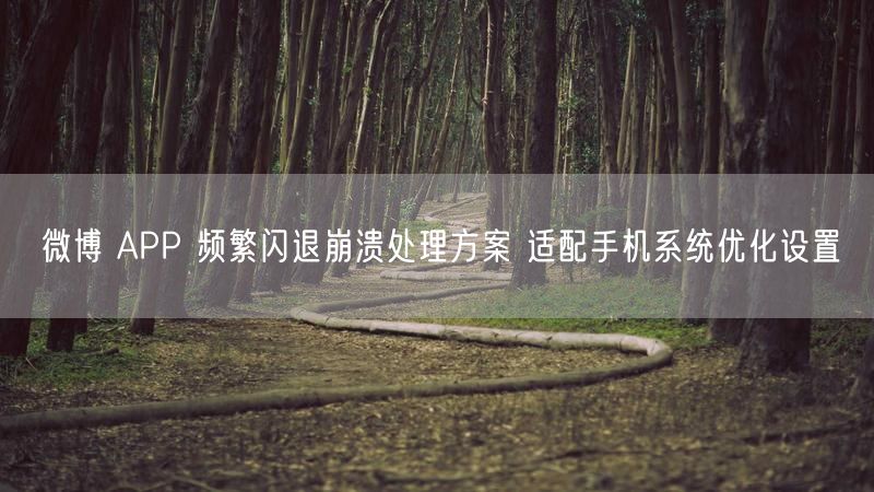 微博 APP 频繁闪退崩溃处理方案 适配手机系统优化设置