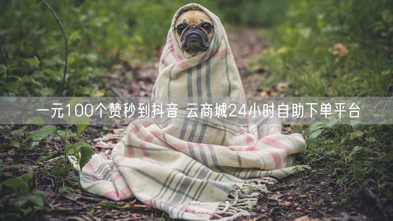 一元100个赞秒到抖音 云商城24小时自助下单平台