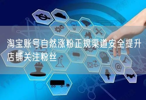 淘宝账号自然涨粉正规渠道安全提升店铺关注粉丝
