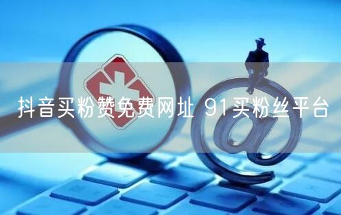 抖音买粉赞免费网址 91买粉丝平台