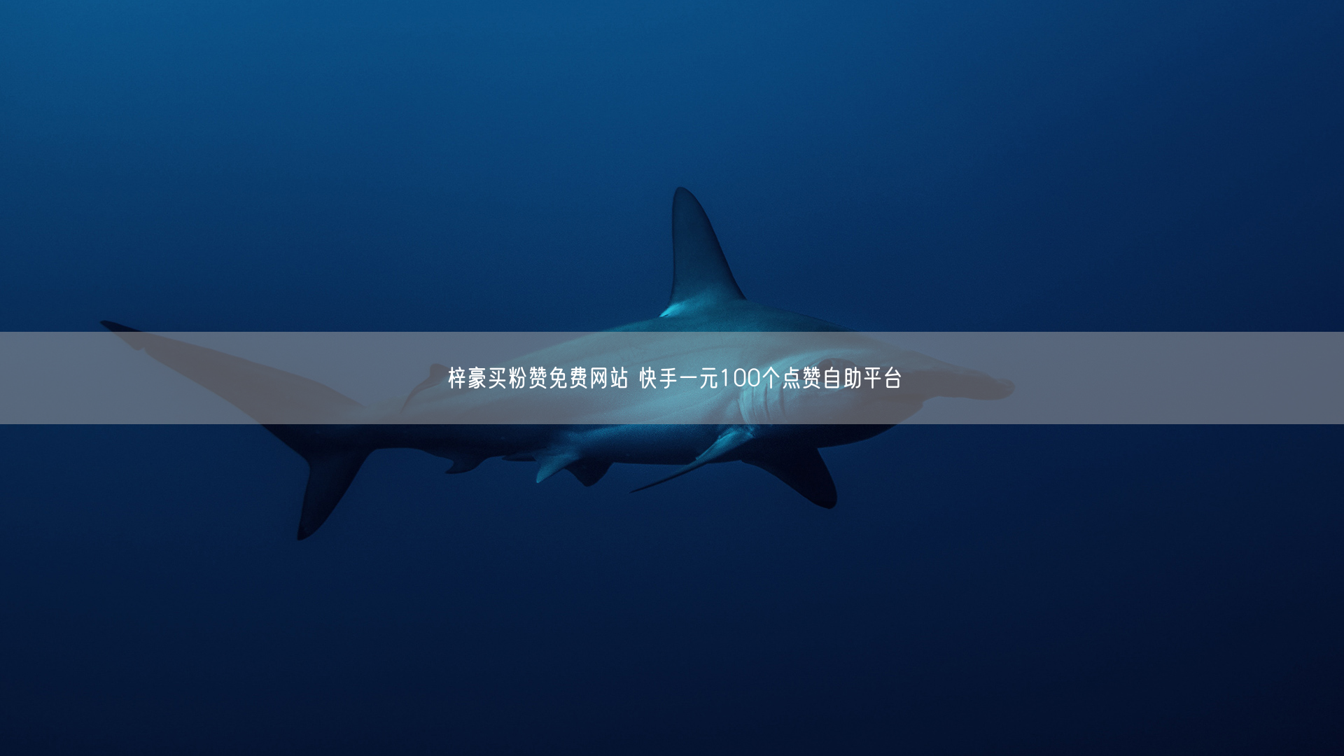 梓豪买粉赞免费网站 快手一元100个点赞自助平台