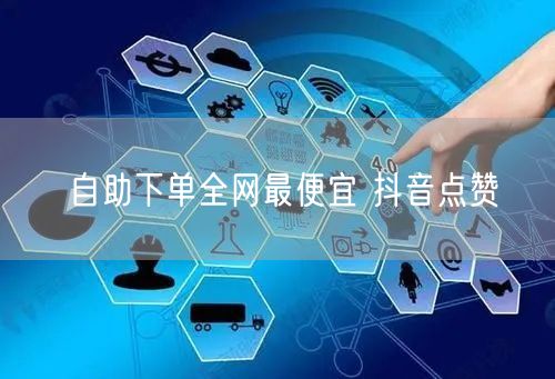自助下单全网最便宜 抖音点赞