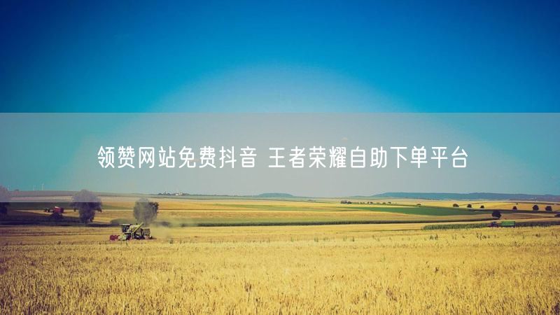 领赞网站免费抖音 王者荣耀自助下单平台
