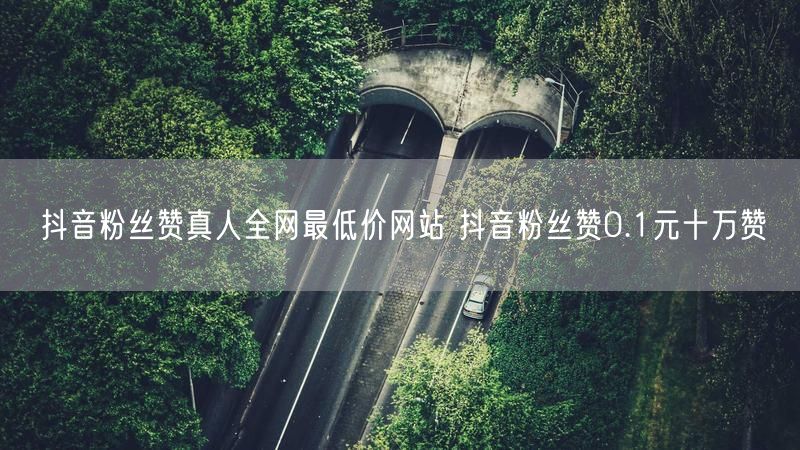 抖音粉丝赞真人全网最低价网站 抖音粉丝赞0.1元十万赞