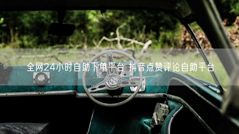 全网24小时自助下单平台 抖音点赞评论自助平台