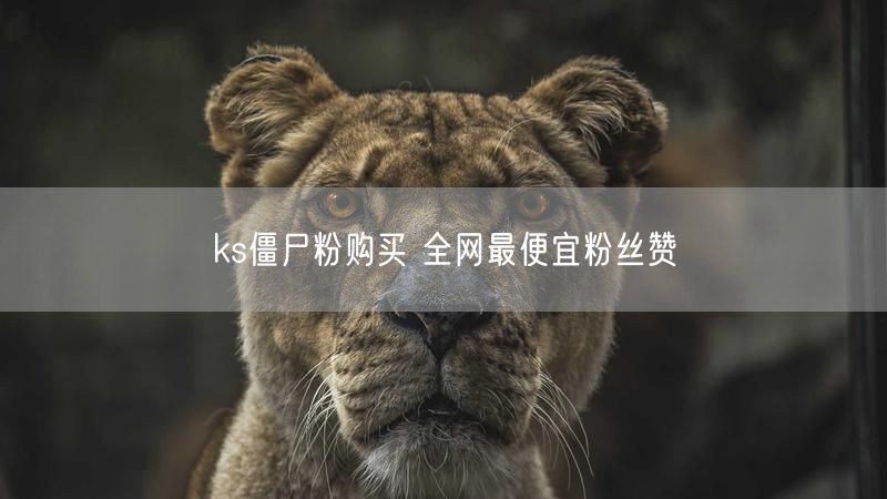 ks僵尸粉购买 全网最便宜粉丝赞