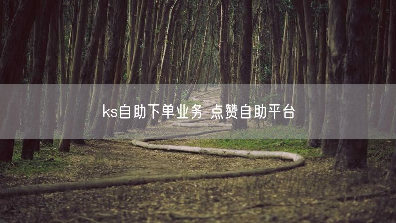 ks自助下单业务 点赞自助平台