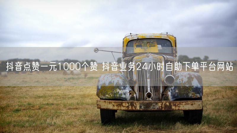 抖音点赞一元1000个赞 抖音业务24小时自助下单平台网站
