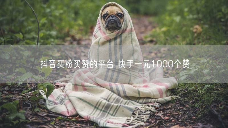 抖音买粉买赞的平台 快手一元1000个赞
