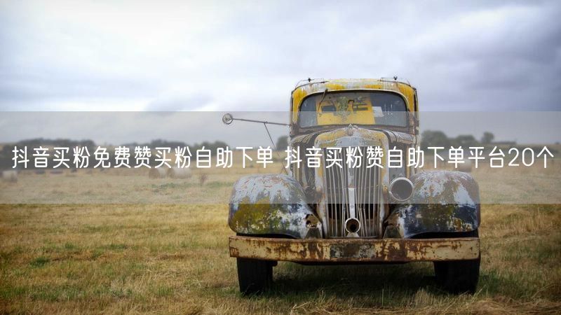 抖音买粉免费赞买粉自助下单 抖音买粉赞自助下单平台20个