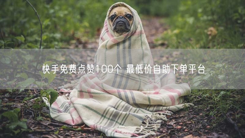 快手免费点赞100个 最低价自助下单平台