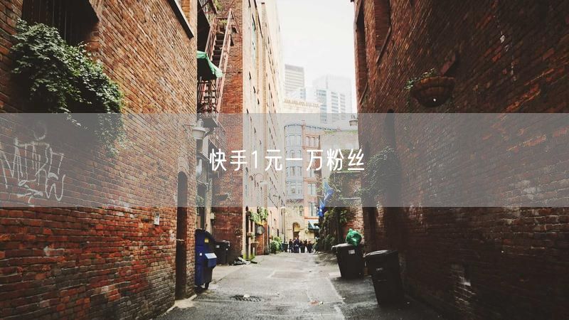 快手1元一万粉丝
