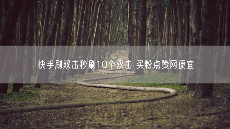 快手刷双击秒刷10个双击 买粉点赞网便宜