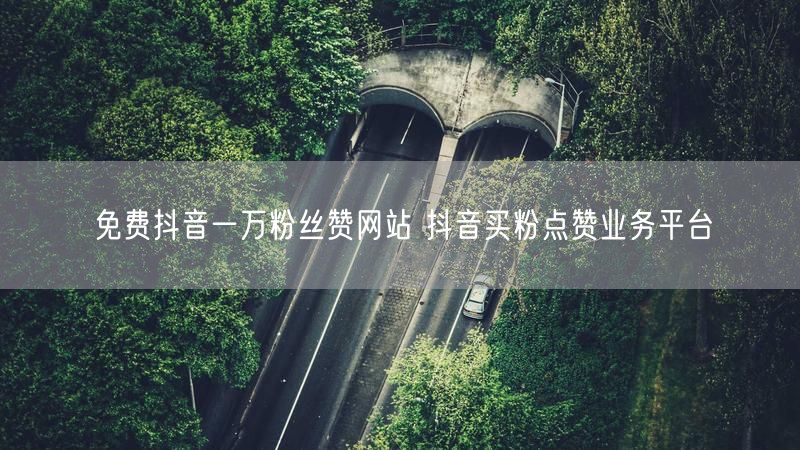 免费抖音一万粉丝赞网站 抖音买粉点赞业务平台
