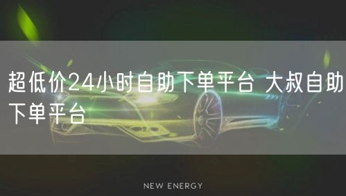 超低价24小时自助下单平台 大叔自助下单平台