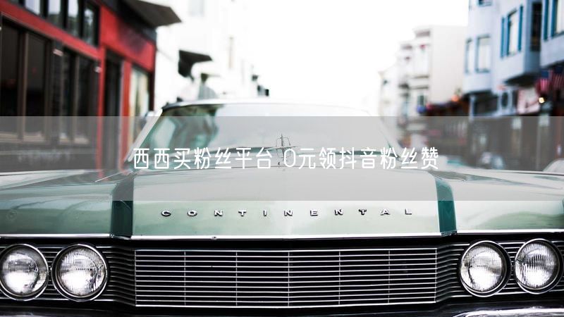 西西买粉丝平台 0元领抖音粉丝赞