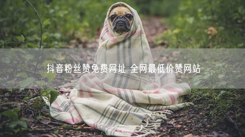 抖音粉丝赞免费网址 全网最低价赞网站