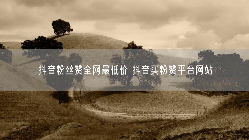 抖音粉丝赞全网最低价 抖音买粉赞平台网站