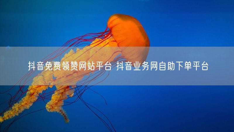 抖音免费领赞网站平台 抖音业务网自助下单平台