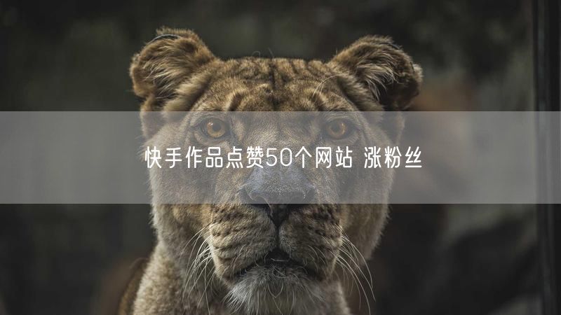 快手作品点赞50个网站 涨粉丝