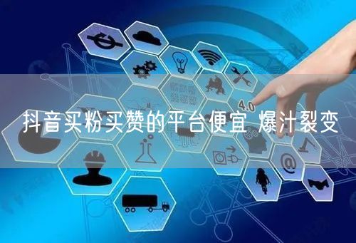 抖音买粉买赞的平台便宜 爆汁裂变