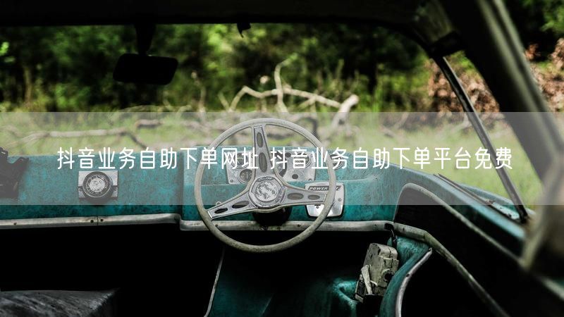 抖音业务自助下单网址 抖音业务自助下单平台免费