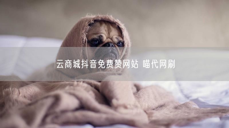 云商城抖音免费赞网站 喵代网刷