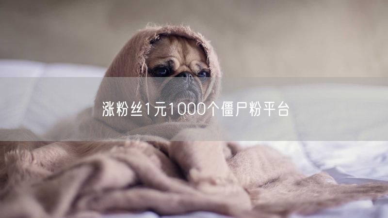 涨粉丝1元1000个僵尸粉平台