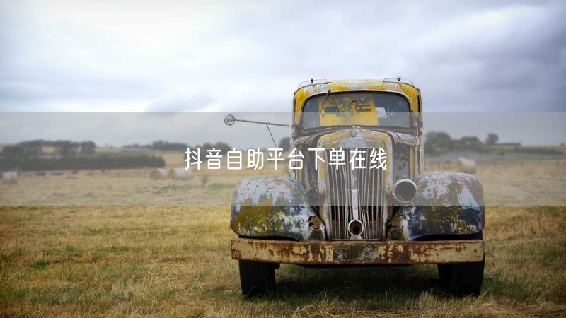 抖音自助平台下单在线