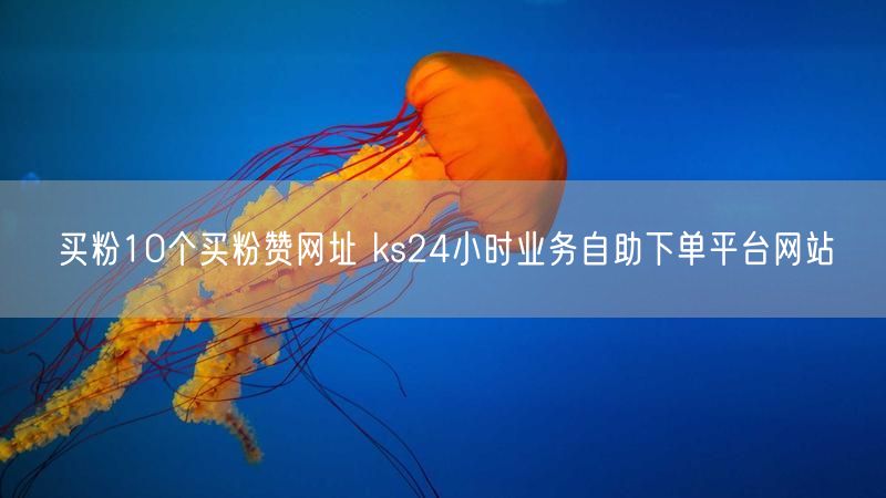 买粉10个买粉赞网址 ks24小时业务自助下单平台网站
