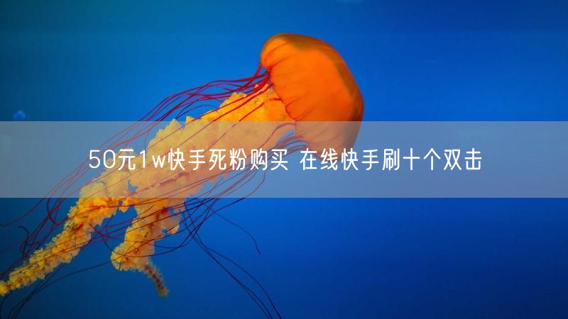 50元1w快手死粉购买 在线快手刷十个双击