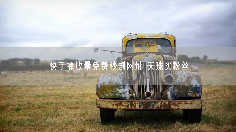 快手播放量免费秒剧网址 天珠买粉丝