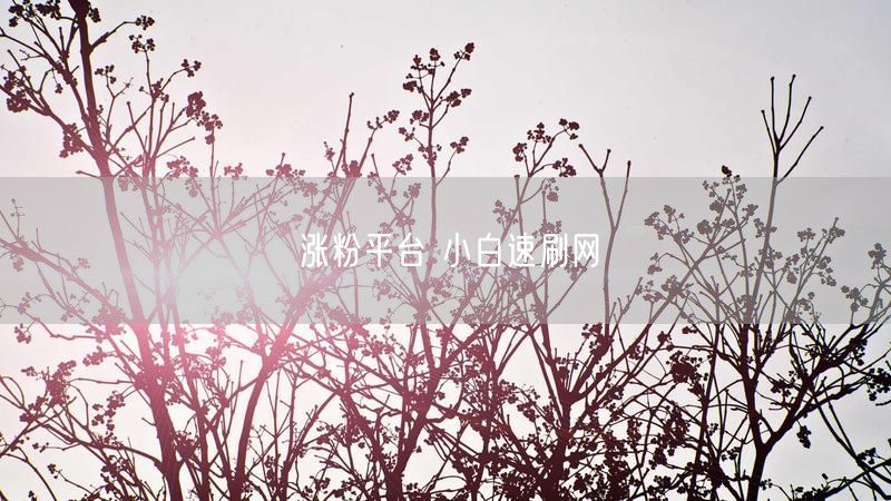 涨粉平台 小白速刷网