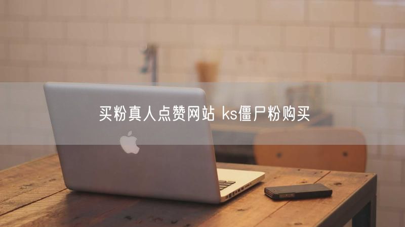 买粉真人点赞网站 ks僵尸粉购买