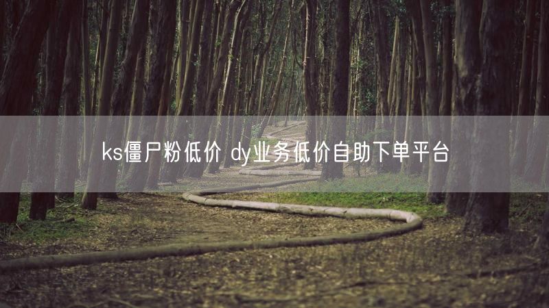 ks僵尸粉低价 dy业务低价自助下单平台