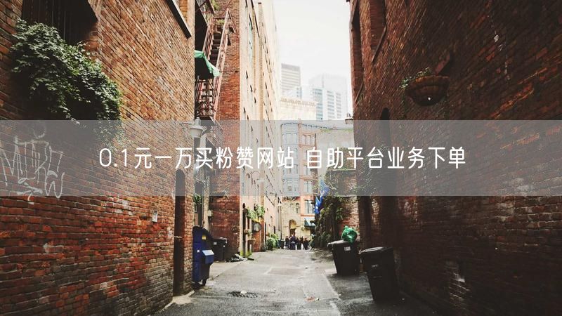 0.1元一万买粉赞网站 自助平台业务下单