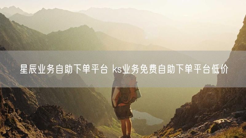 星辰业务自助下单平台 ks业务免费自助下单平台低价