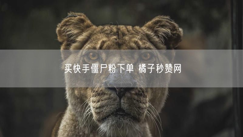 买快手僵尸粉下单 橘子秒赞网
