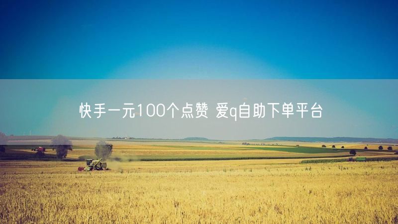 快手一元100个点赞 爱q自助下单平台
